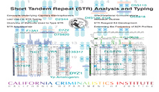 Additional Short Tandem Repeat (STR) Topics and Emerging Technologies